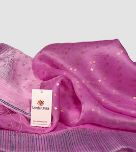 Persian Pink Muslin Silk Sequin Work Saree-Detail
