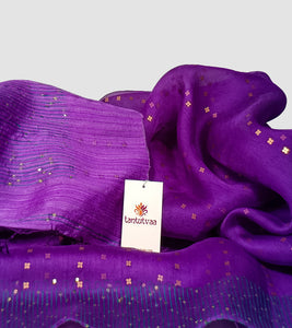 Purple Muslin Silk Sequin Work Saree-Detail